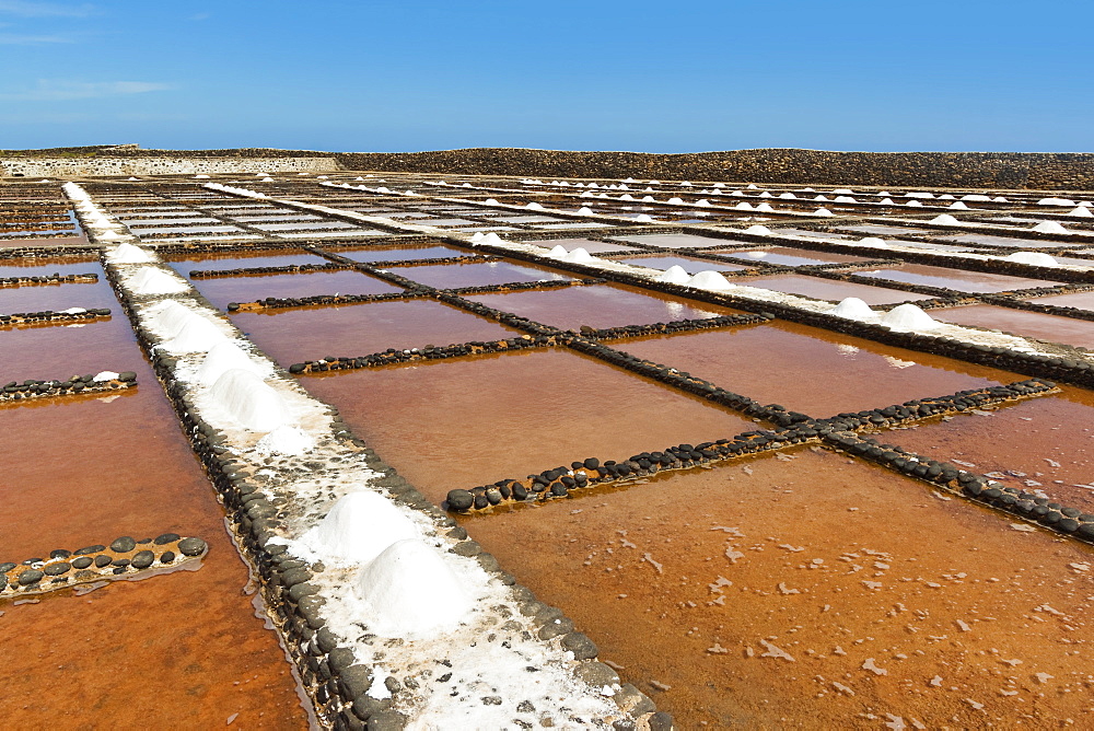 Salt pans still in use at El Carmen Salinas and Salt Museum on the east coast, Caleta de Fuste, Fuerteventura, Canary Islands, Spain, Europe