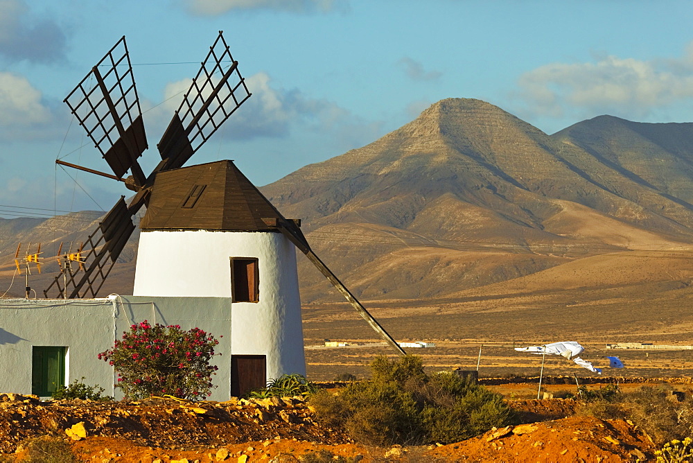 Windmill in the central valley and the 625m high Churillos mountain beyond, Llanos de la Concepcion, Fuerteventura, Canary Islands, Spain, Europe