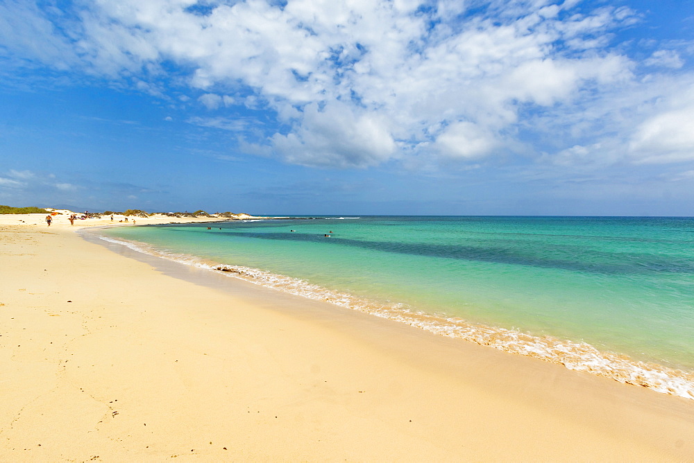 Looking north on one of the beautiful sandy beaches south of this resort town, Corralejo, Fuerteventura, Canary Islands, Spain, Atlantic, Europe