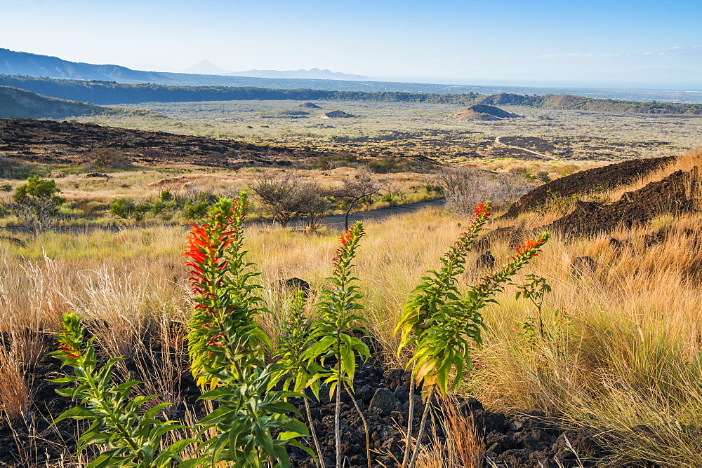 Volcanic landscape of the Masaya caldera, Nicaragua's first national park, with craters and a'a blocky lava, Masaya, Nicaragua, Central America