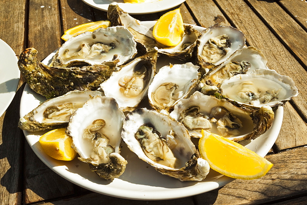 Oysters (huitres) ready to eat, thousands of tons of the shellfish are grown annually here, Ile de Re, Charente-Maritime, France, Europe