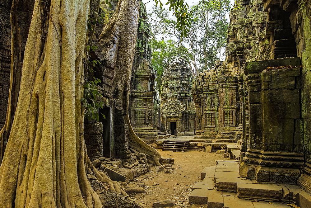 Galleries and gopura entrance at 12th century temple Ta Prohm, a Tomb Raider film location, Angkor, UNESCO World Heritage Site, Siem Reap, Cambodia, Indochina, Southeast Asia, Asia