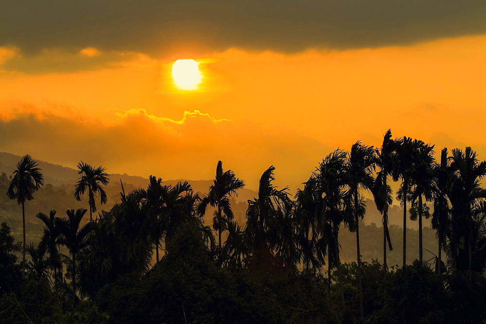 Palm trees and foothills of the Elephant Mountains seen from the Praek Tuek Chhu River near Kampot, Kampot Province, Cambodia, Indochina, Southeast Asia, Asia