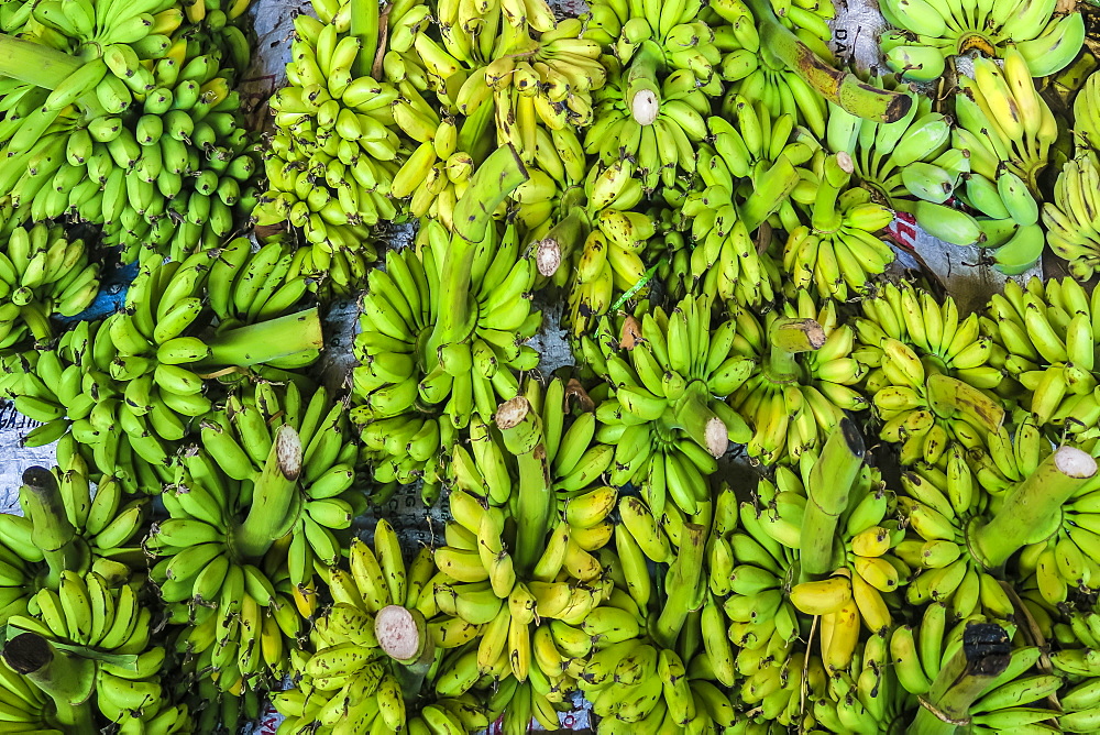 Green bananas at the busy central market in this old formerly French colonial river port city, Kampot, Cambodia, Indochina, Southeast Asia, Asia