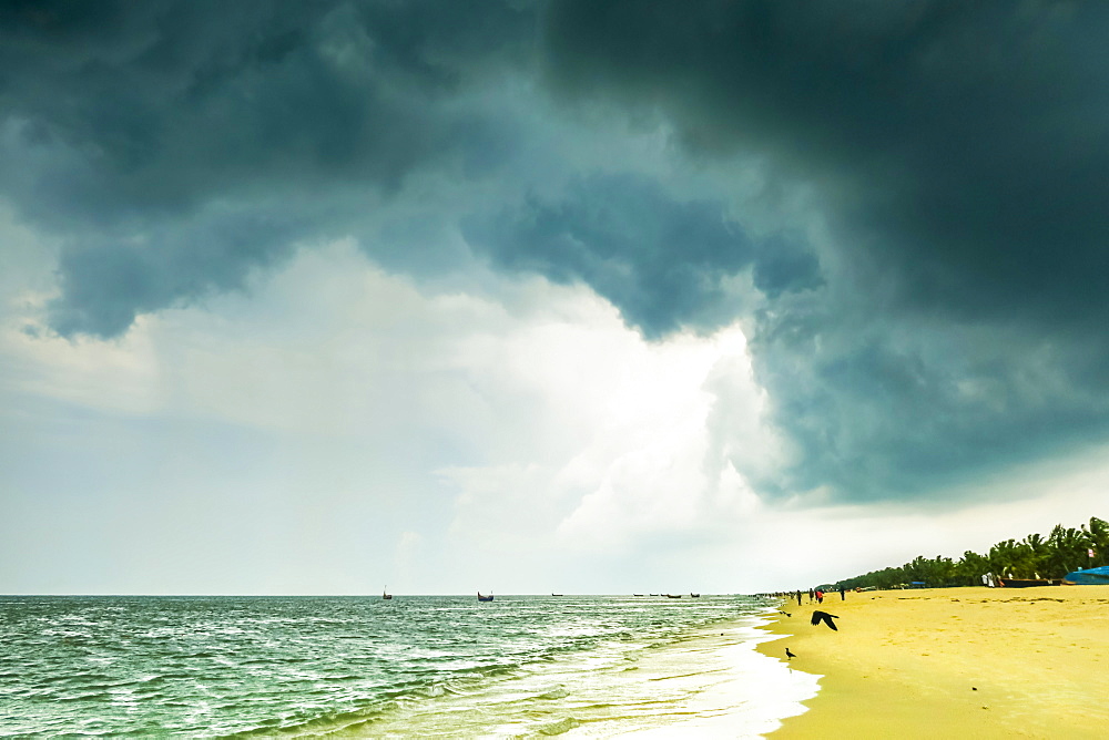 Dark late Monsoon rain cloud and ubiquitous house crows at popular Marari Beach, Mararikulam, Alappuzha (Alleppey), Kerala, India, Asia