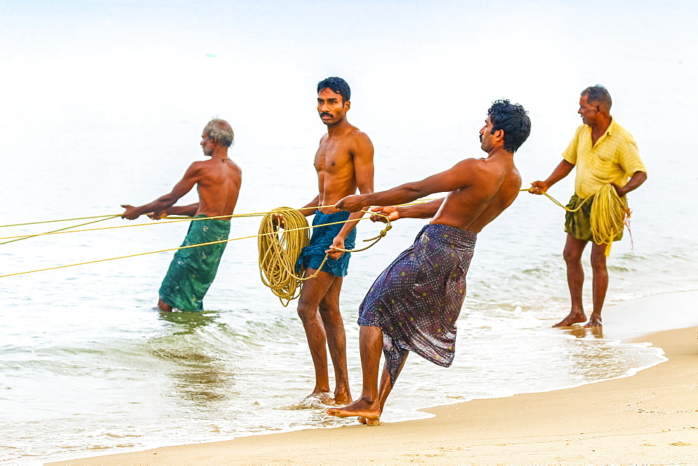 Fishermen pulling large set net to shore at busy, popular Marari Beach, Mararikulam, Alappuzha (Alleppey), Kerala, India, Asia