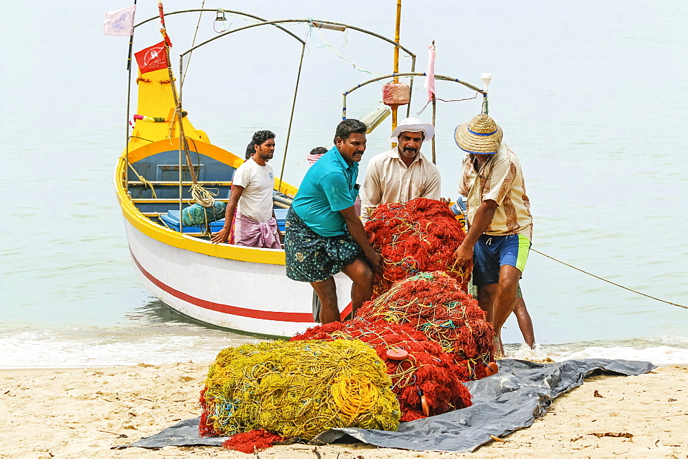 Fishermen carrying heavy nets on to shore at popular Marari Beach, Mararikulam, Alappuzha (Alleppey), Kerala, India, Asia