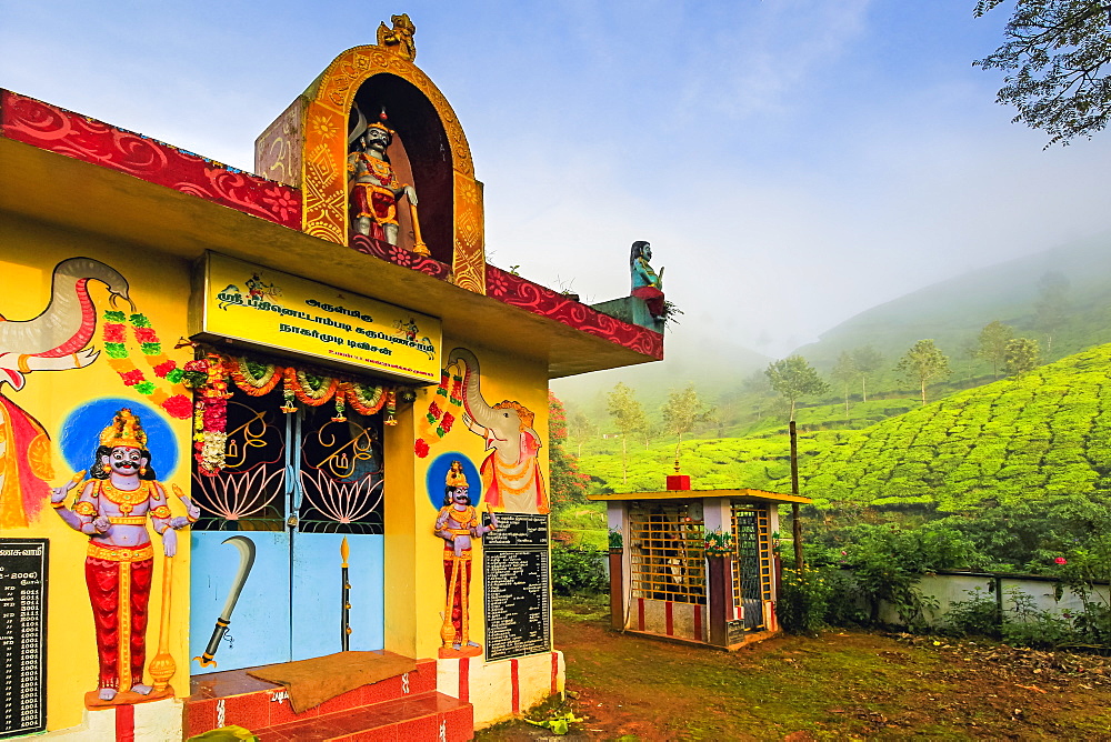 Lakshmi tea estate temple devoted to Aravan of the Tamil Kuttantavar Cult, many tea workers are Tamil, Munnar, Kerala, India, Asia