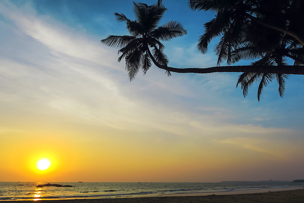 Leaning palm trees at sunset on lovely unspoilt Kizhunna Beach, south of Kannur on the state's North coast, Kannur, Kerala, India, Asia