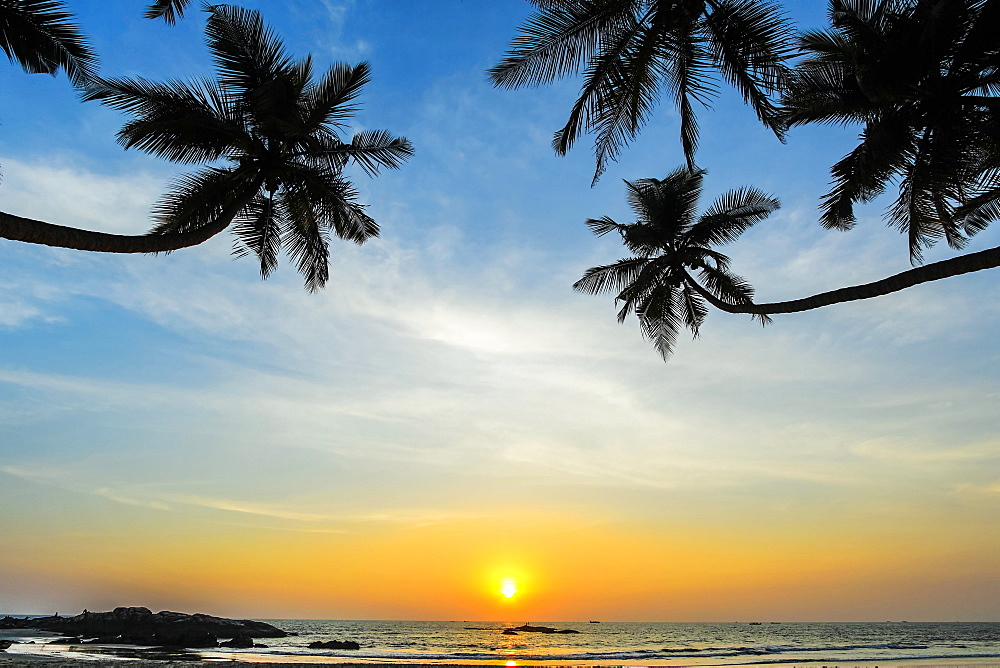 Leaning palm trees at sunset on lovely unspoilt Kizhunna Beach, south of Kannur on the state's North coast, Kannur, Kerala, India, Asia