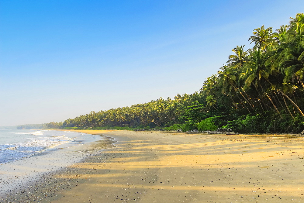 Leaning palm trees at lovely unspoilt deserted Kizhunna Beach, south of Kannur on the state's North coast, Kannur, Kerala, India, Asia