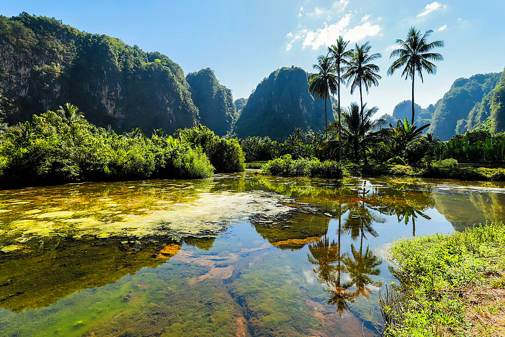 Limestone peaks and palms reflected on fish pond in karst region, Rammang-Rammang, Maros, South Sulawesi, Indonesia, Southeast Asia, Asia