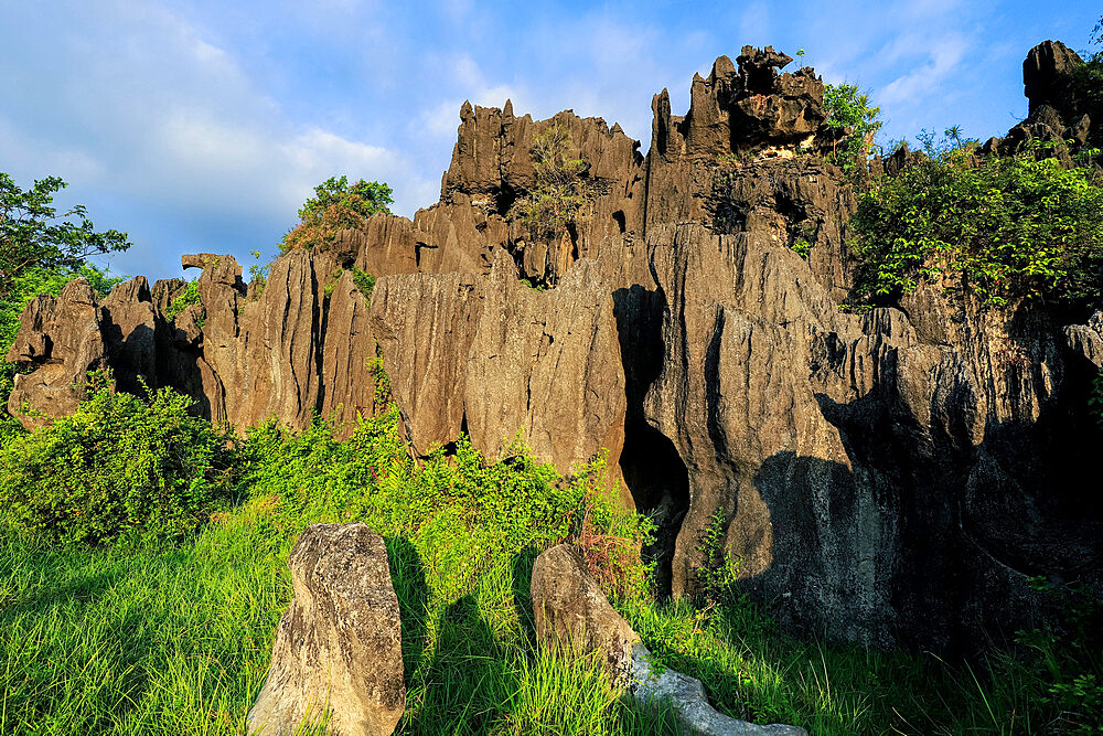 Limestone rock eroded and dissolved by water in karst region, Rammang-Rammang, Maros, South Sulawesi, Indonesia, Southeast Asia, Asia