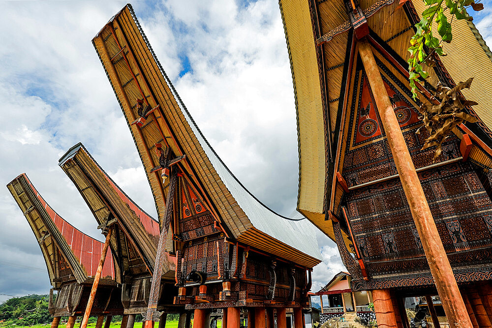 Saddleback roof tongkonans (family rice barns) (homes), Parinding, north of Rantepao, Parinding, Toraja, South Sulawesi, Indonesia, Southeast Asia, Asia