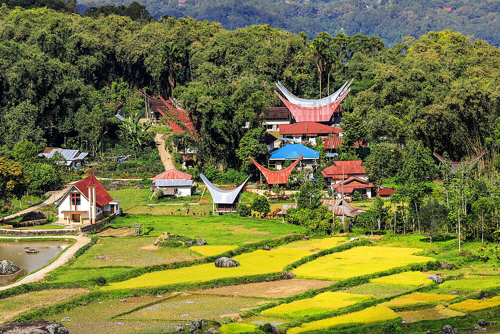 Church and tongkonan houses at Lempo amidst the Batutumonga rice paddies, Batutumonga, Rantepao, Toraja, South Sulawesi, Indonesia, Southeast Asia, Asia