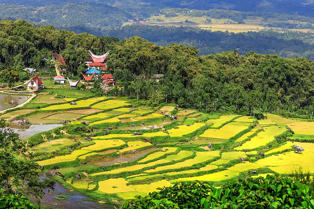 Church and tongkonan houses at Lempo amidst the Batutumonga rice paddies, Batutumonga, Rantepao, Toraja, South Sulawesi, Indonesia, Southeast Asia, Asia