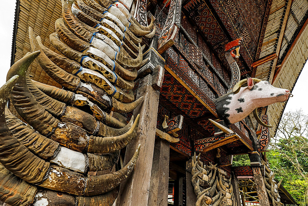 Carved head and horns of sacrificed buffalo, tongkonan traditional family house, La'bo, Rantepao, Toraja, South Sulawesi, Indonesia, Southeast Asia, Asia