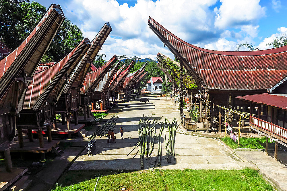 Tongkonan saddleback houses and rice barns inside family compound near Rantepao, La'bo, Rantepao, Toraja, South Sulawesi, Indonesia, Southeast Asia, Asia