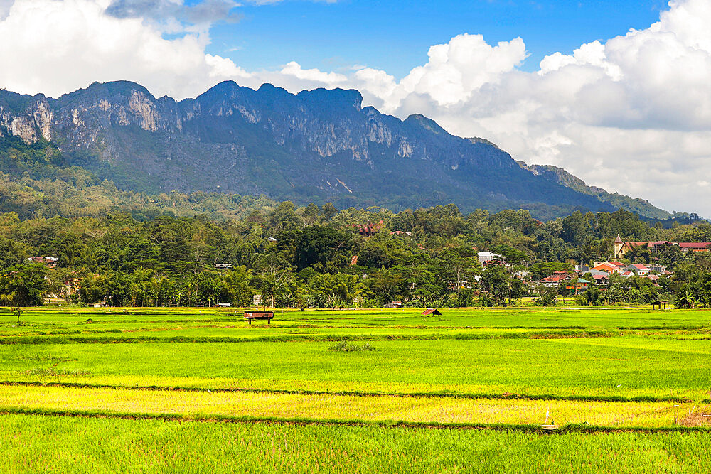 Limestone peaks including 1231m Gunung Buntu Sarira and rice paddies in the River Sadang valley, Sarira, Toraja, South Sulawesi, Indonesia, Southeast Asia, Asia