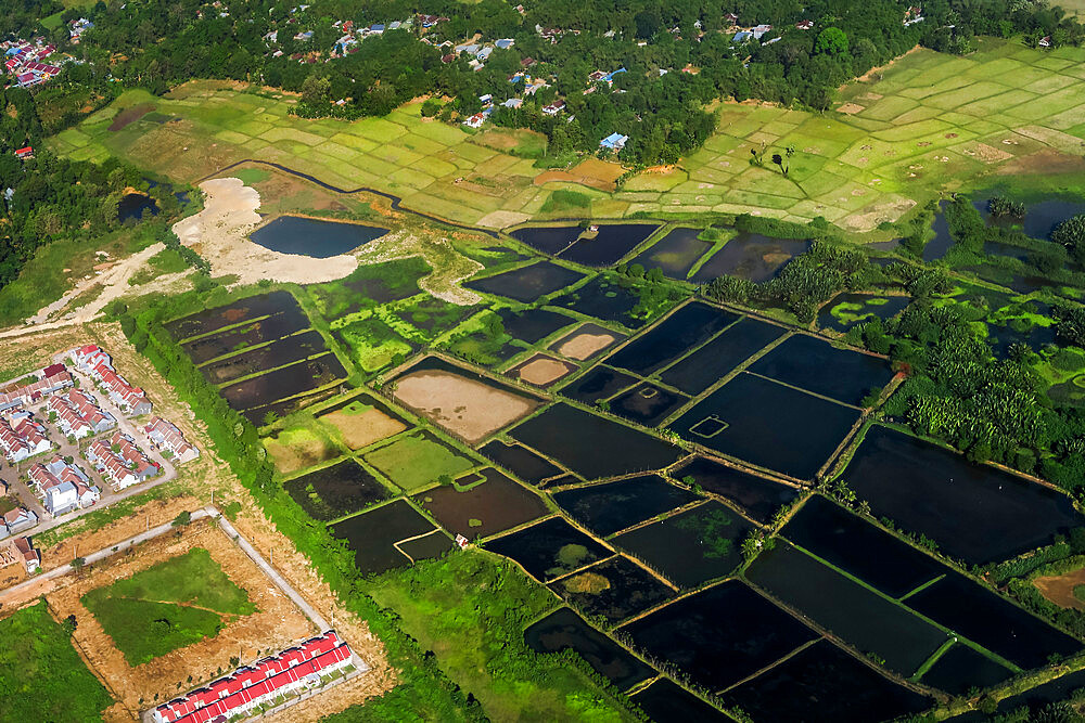 Rice fields and fish ponds on the Gulf of Boni estuarine coast near South Sulawesi's second city, Palopo, Luwu, South Sulawesi, Indonesia, Southeast Asia, Asia