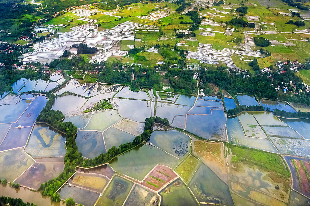 Rice fields and fish ponds on the Gulf of Boni estuarine coast near South Sulawesi's second city, Palopo, Luwu, South Sulawesi, Indonesia, Southeast Asia, Asia