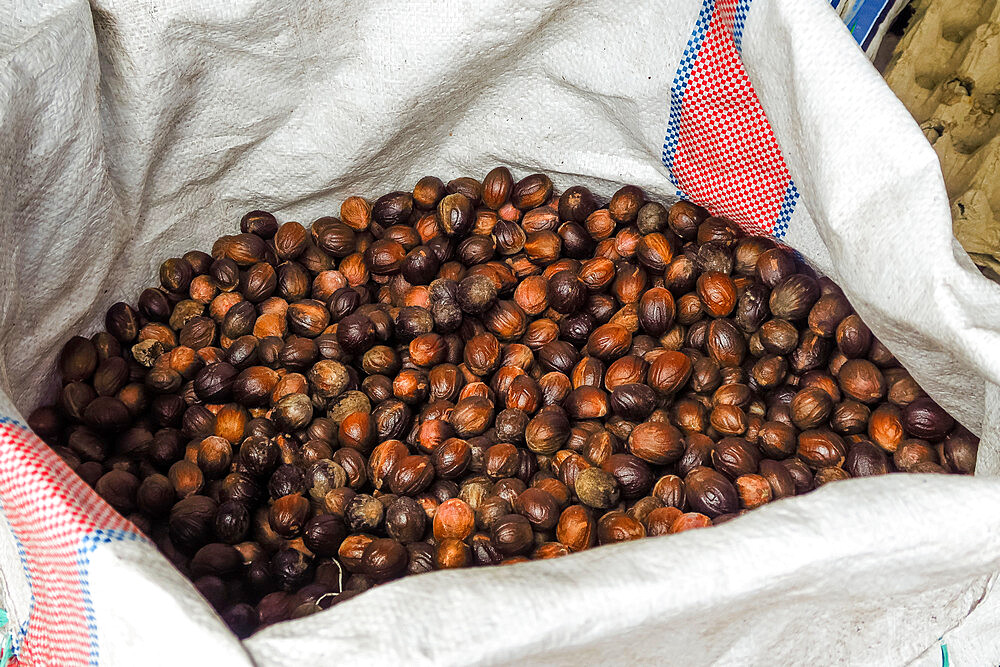 Nutmeg in sack at the market, an aromatic spice & major crop here. Ulu, Siau Island, Sangihe Archipelago, N Sulawesi, Indonesia