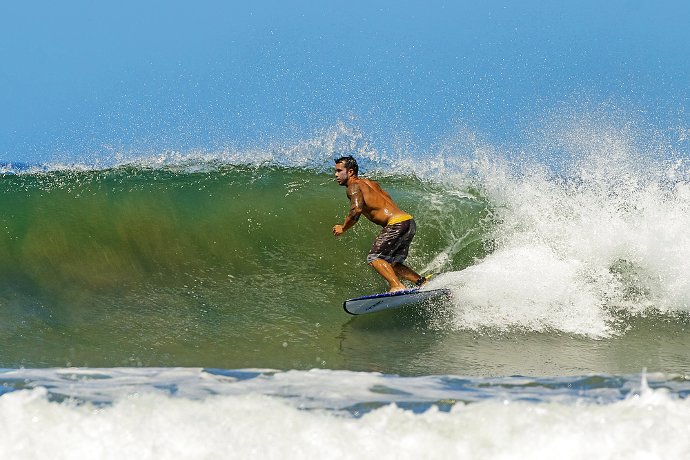 Shortboard surfer rides a wave at this fast-growing surf beach and yoga destination, Playa Guiones, Nosara, Guanacaste, Costa Rica, Central America