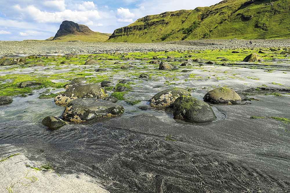 The white & black sand beach & estuary at Talisker with Preshal More beyond. Both are SSSI locations for the Tertiary basalt lava geology & biological habitats. Talisker Bay, Carbost, Skye, Inner Hebrides, Skye, Scotland, UK