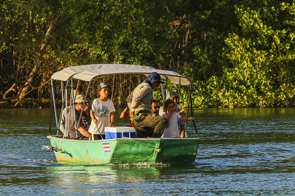 Tourists on a boat trip through the mangrove fringed Nosara River estuary & Biological Reserve at sunset. Boca Nosara, Nosara, Guanacaste, Costa Rica