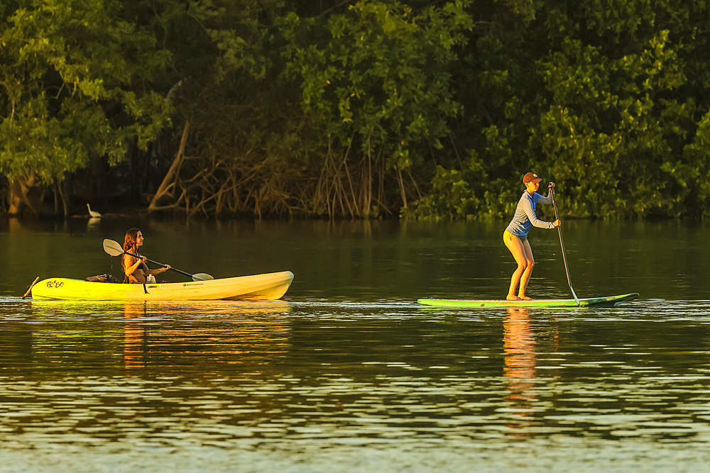 Tourists paddle canoe & paddle board on the mangrove fringed Nosara River & Biological Reserve at sunset. Boca Nosara, Nosara, Guanacaste, Costa Rica