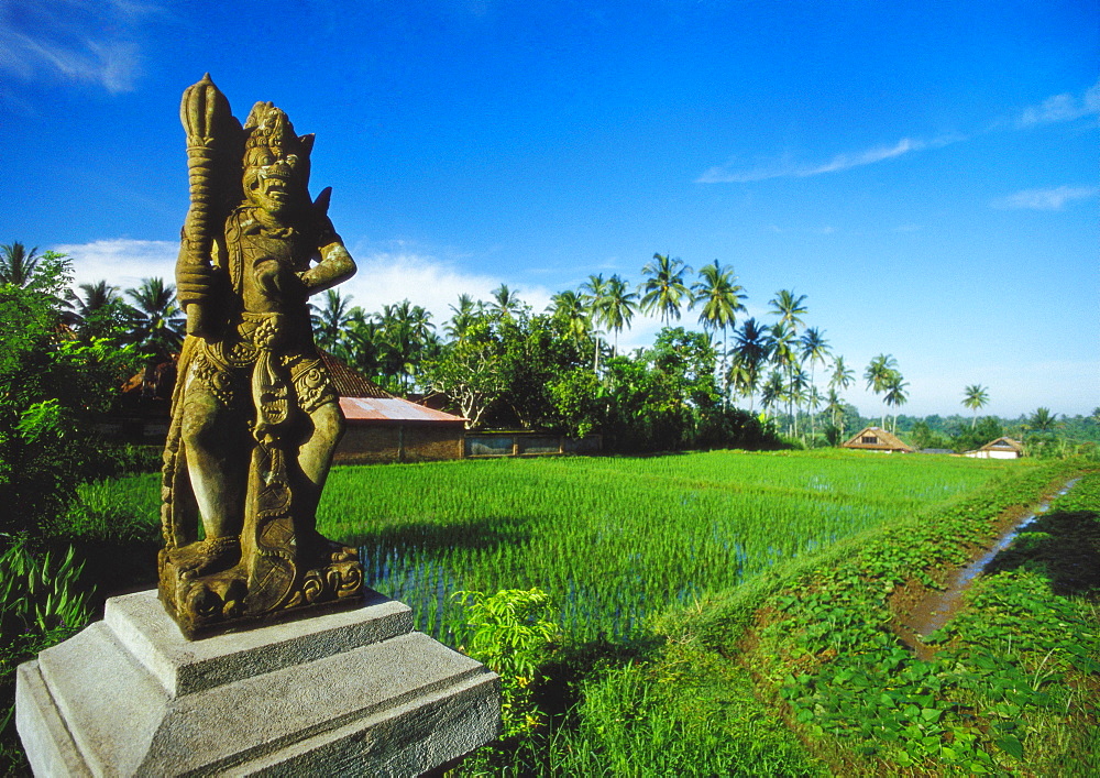 Staue of Raksha in a Rice Field, Ubud, Gianyar, Bali