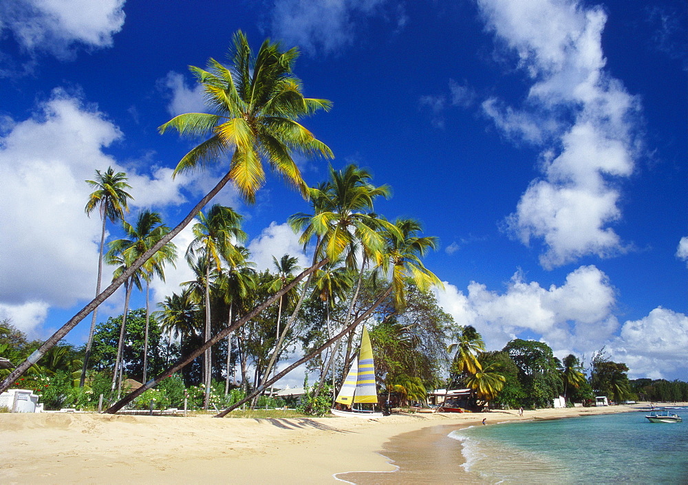 Mullins Beach, St Peter Parish, Barbados, Caribbean