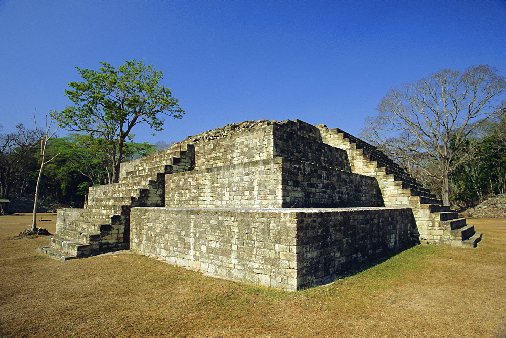 Step pyramid in the great plaza, Mayan archaeological site, Copan, Western Highlands, Honduras, Central America