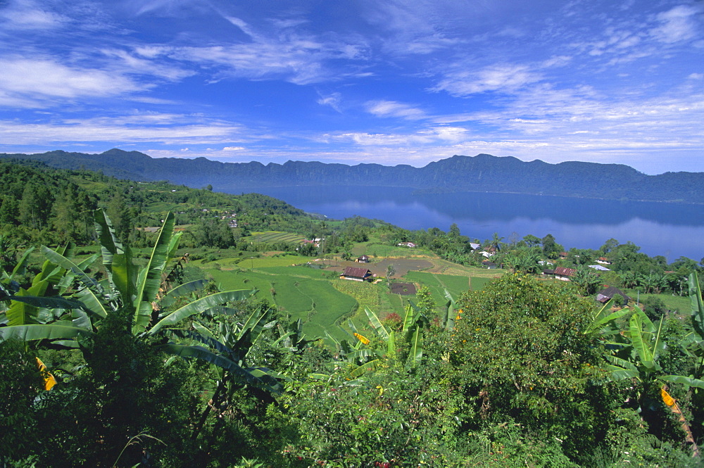 Rice terraces on eastern shore of crater lake, Lake Maninjau, West Sumatra, Sumatra, Indonesia, Southeast Asia, Asia