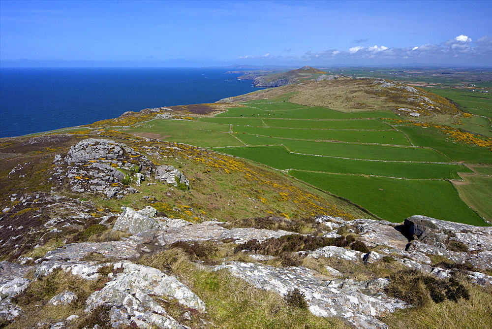 View north of old field system from Carn Llidi, St. Davids, Pembrokeshire National Park, Wales, United Kingdom, Europe 