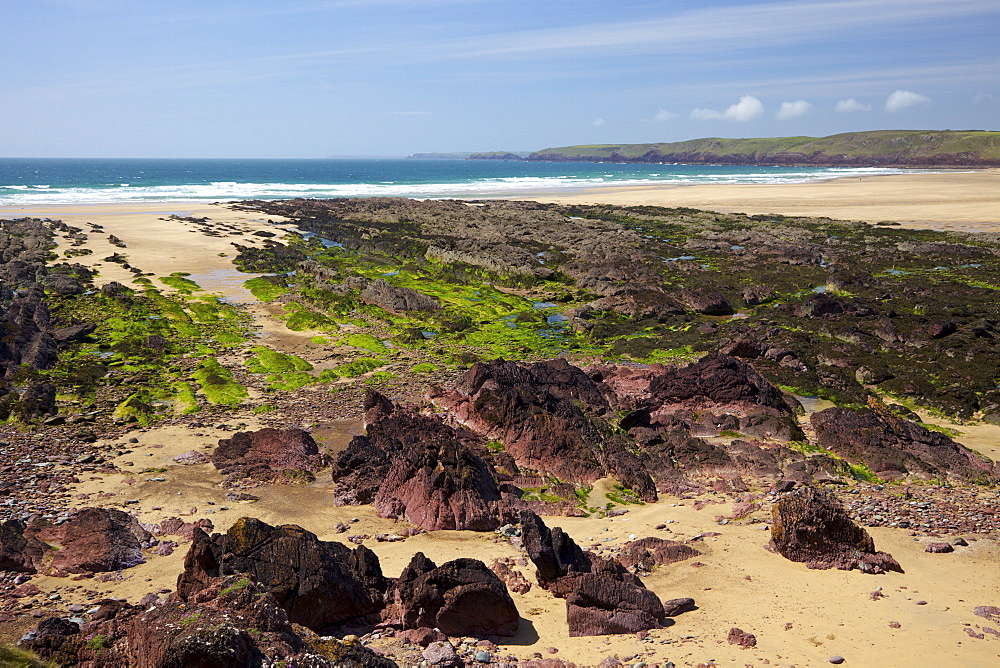 Spring morning sunshine, Freshwater West beach, Pembrokeshire National Park, Wales, United Kingdom, Europe