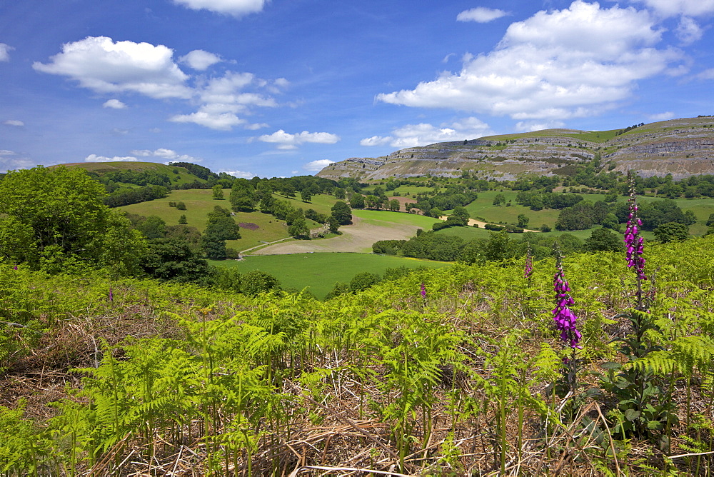 View towards limestone escarpment of Creigiau Eglwyseg, from Castell Dinas Bran, Llangollen, Denbighshire, Wales, United Kingdom, Europe