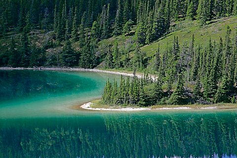 Emerald Lake Yukon Canada