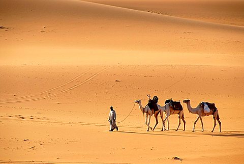 Tuareg walks with camels through the desert Mandara Libya