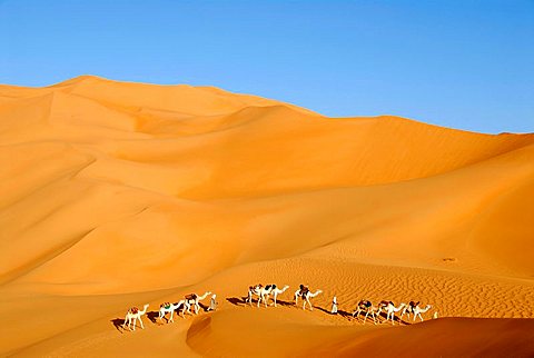 Tuareg walk with camels through big sanddunes in the desert Mandara Libya