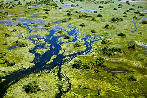 Aerial view, Okavango Delta, Botswana, Africa