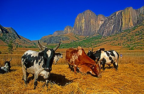 Tsaranoro Valley, Andringitra National Park, Madagascar