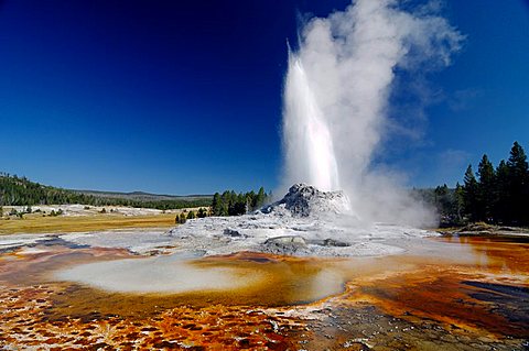 erupting geyser, Yellowstone national park, Wyoming, USA