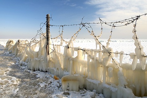 Icy barbed wire, frozen Black Sea, a rare phenomenon, occured in 1977 for the last time, Odessa, Ukraine, Eastern Europe