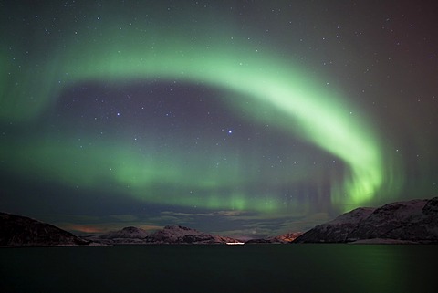 Northern Lights over the Grâˆšâˆtfjord in winter, Kvaloya, Tromso, Norway, Europe