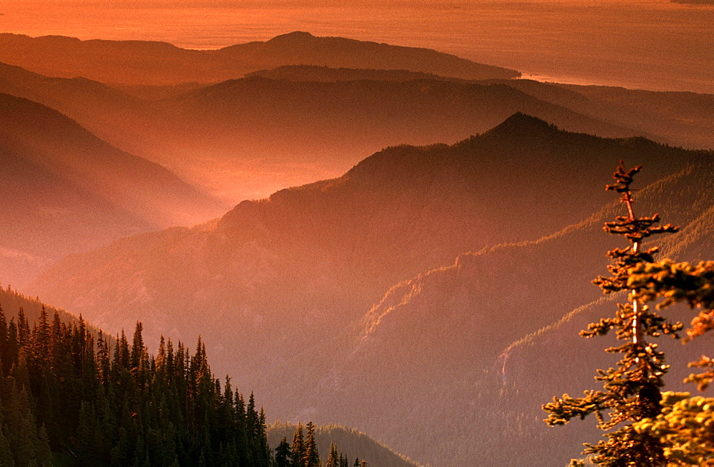 Appalachian Mountains at sunset, view from Clingman Dome, Great Smoky Mountains national park, North Carolina, USA