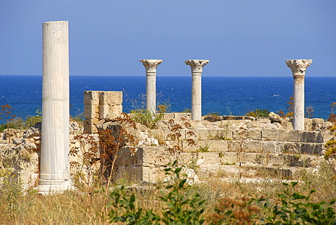 Pillars of early Christian Basilica Kampanopetra at the sea archaeological site Salamis North Cyprus