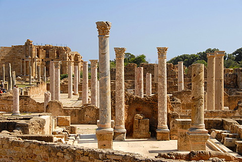 Many antique pillars Hadrians thermal baths Leptis Magna Libya