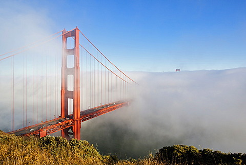 Golden Gate Bridge in the fog, San Francisco, California, USA, America