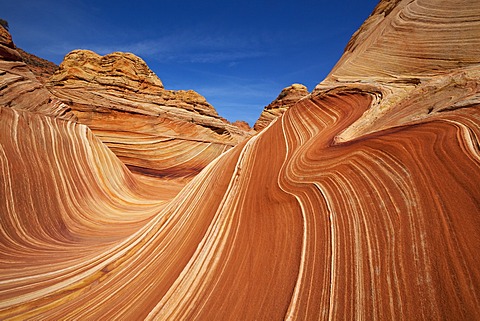 The Wave, rock formation in Coyote Buttes North, Paria Canyon-Vermilion Cliffs Wilderness, Utah, Arizona, USA